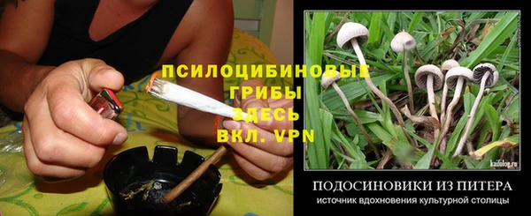 марки nbome Алзамай
