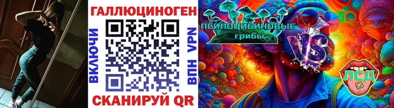 Псилоцибиновые грибы Cubensis  сколько стоит  Махачкала 